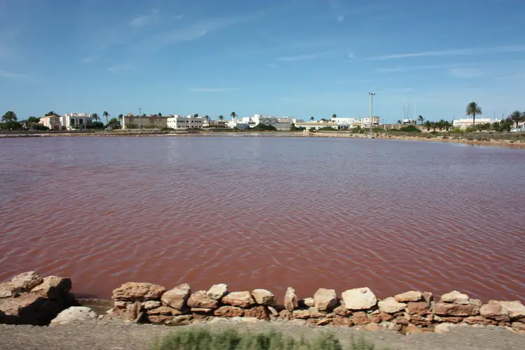 estany pudent formentera