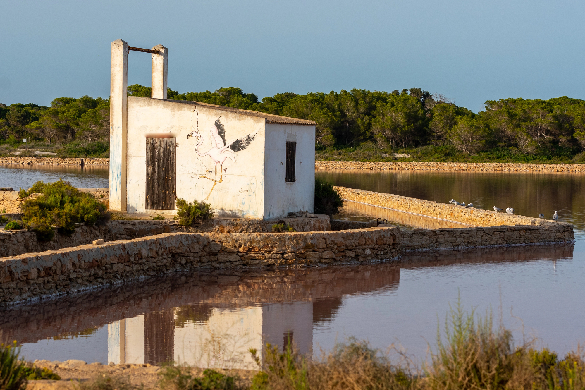 Home 2 Parco naturale di Ses Salines formentera