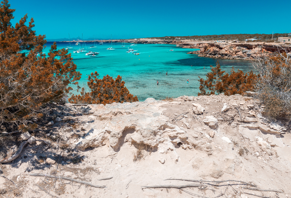 formentera cala saona