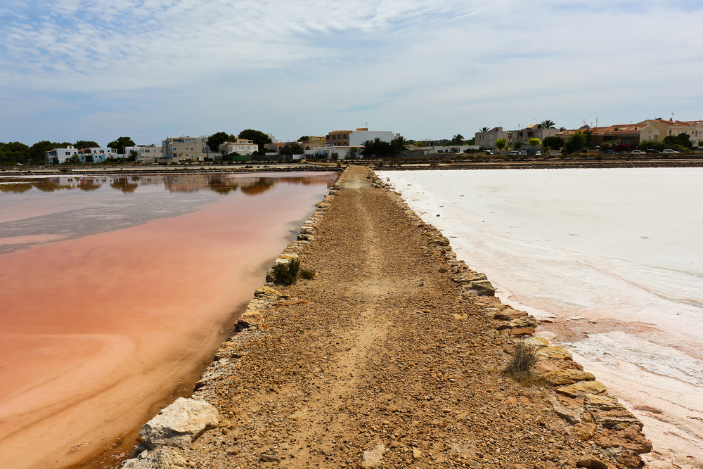 La Savina 4 salie rosa parco ses salines formentera